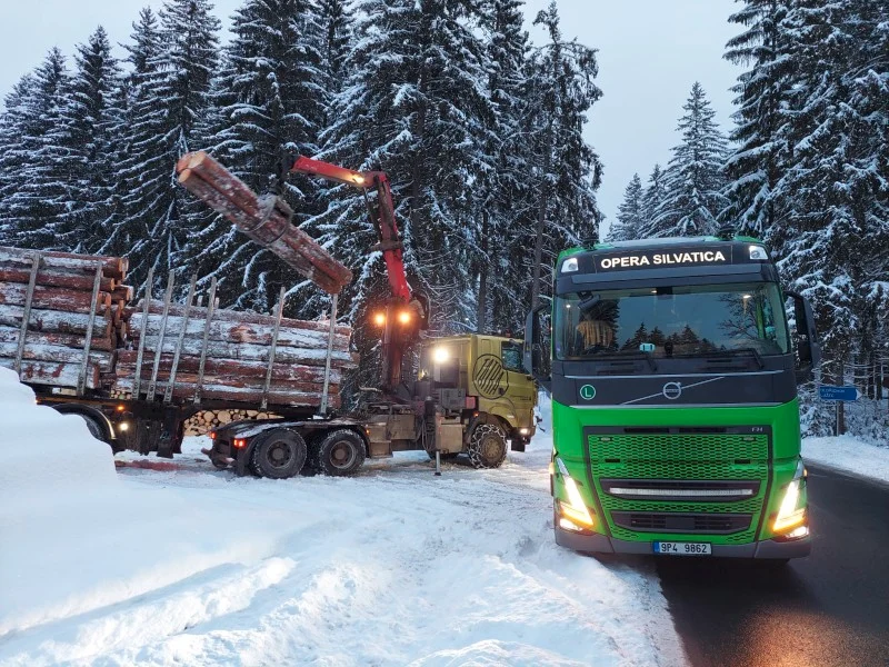 08